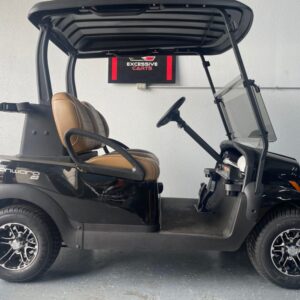 2 Passenger Club Car Onward-Electric.